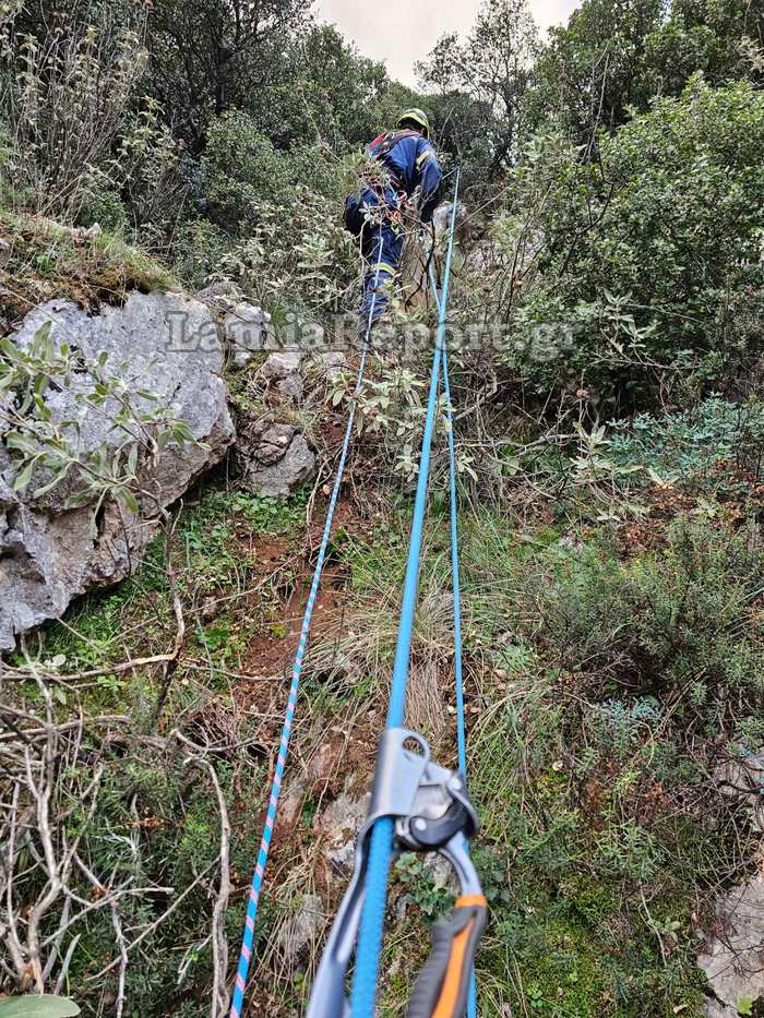 Επιχείρηση απεγκλωβισμού κυνηγόσκυλου