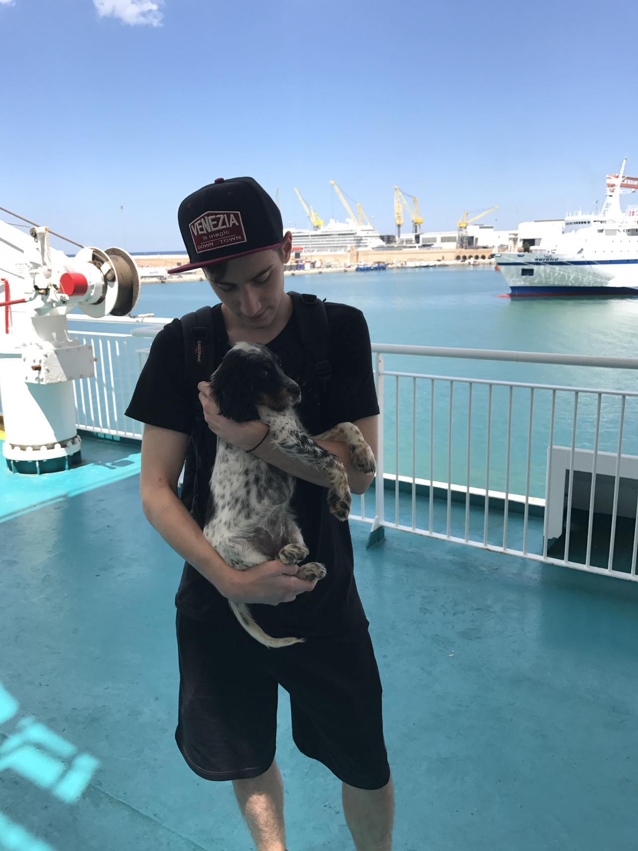 Θανατηφόρα επίθεση λύκων