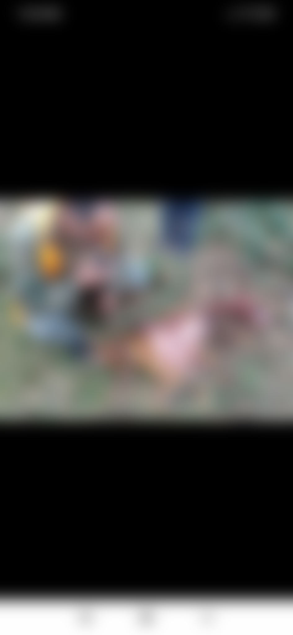 Νεκρό κυνηγόσκυλο από επίθεση λύκων στο Φλάμπουρο Φλώρινας