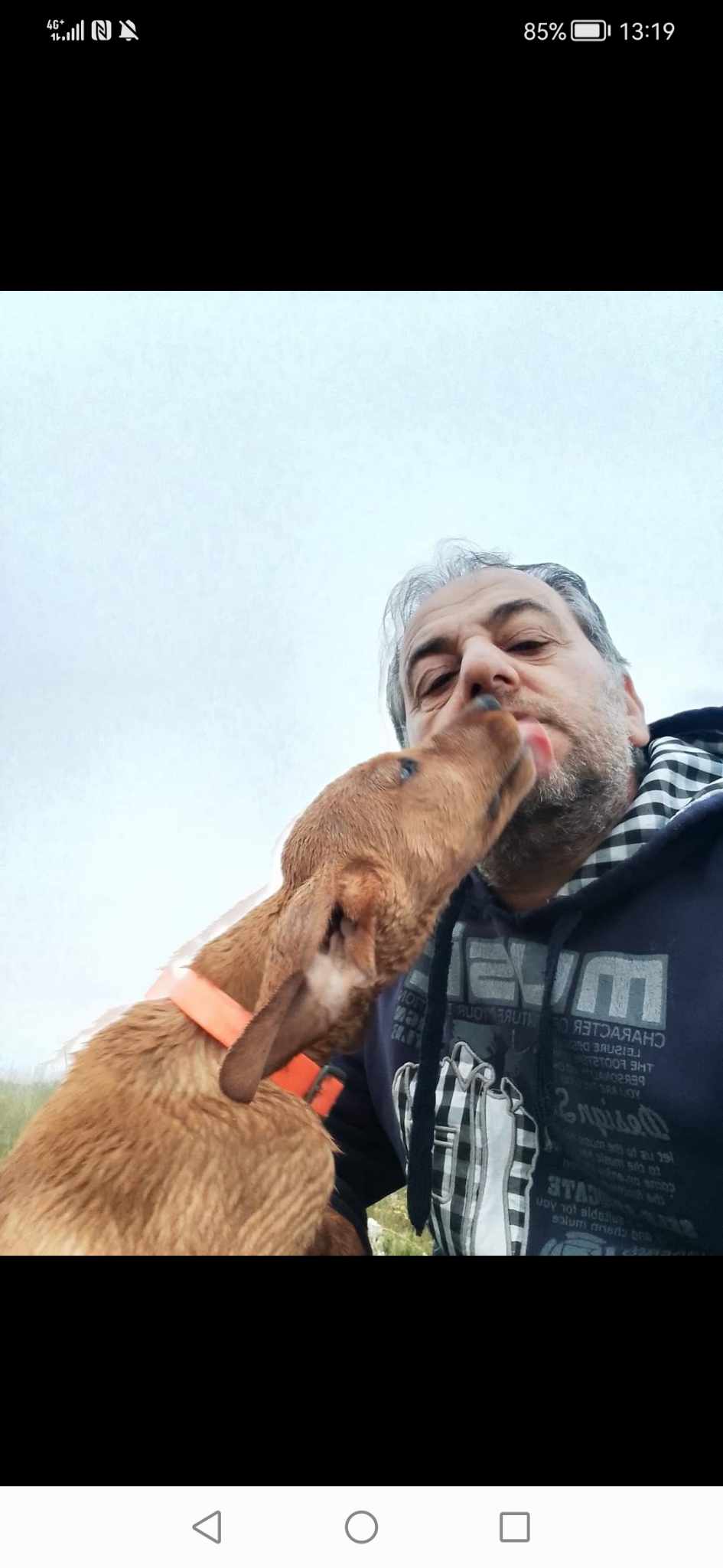 Νεκρό κυνηγόσκυλο από επίθεση λύκων στο Φλάμπουρο Φλώρινας