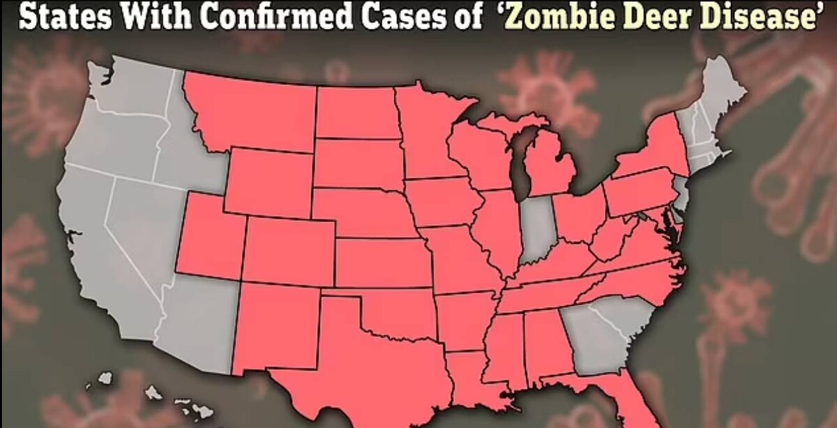 ΗΠΑ : Φόβοι ότι κυνηγοί πέθαναν από τη νόσο των «ελαφιών ζόμπι» - Πώς μολύνθηκαν