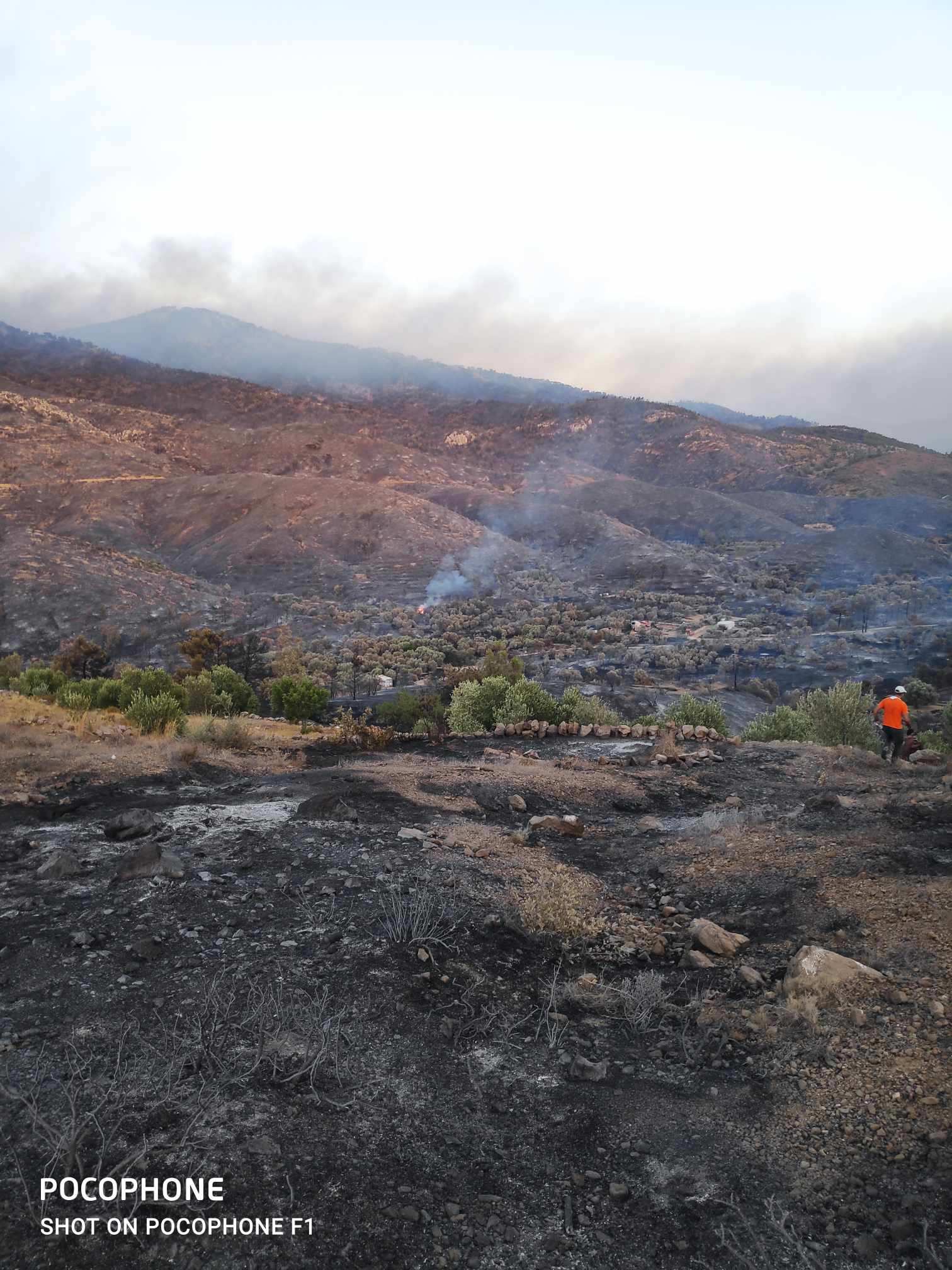Οι κυνηγοί της Χίου στη μάχη της φωτιάς στη Σιδηρούντα