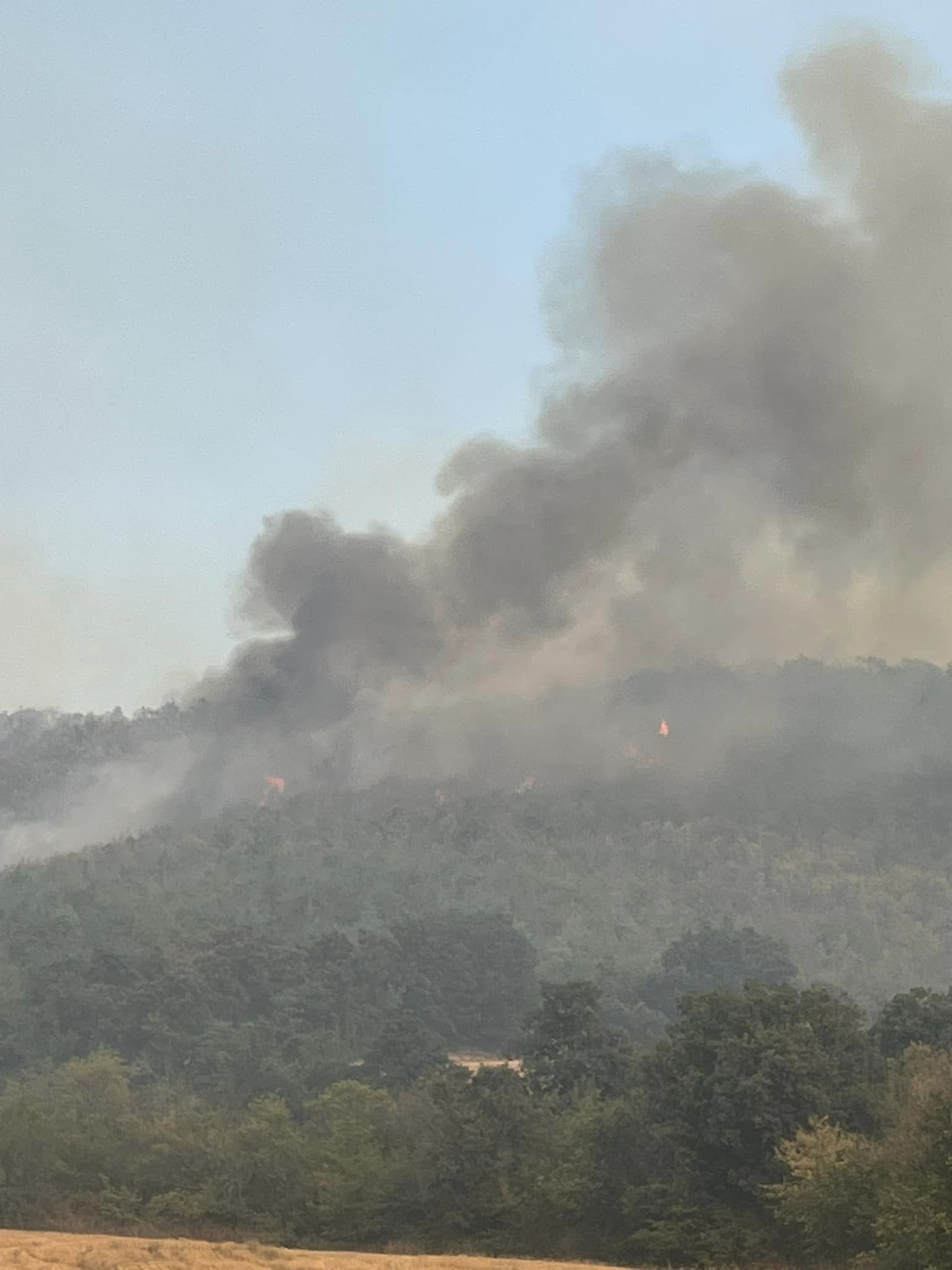 Συμμετοχή του Κ.Σ. Κιλκίς στην κατάσβεση της πυρκαγιάς στις Μουριές