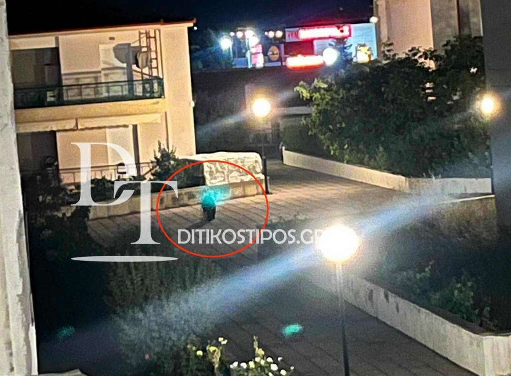 Άργος Ορεστικό : Αρκούδα εμφανίστηκε στις εργατικές κατοικίες της πόλης