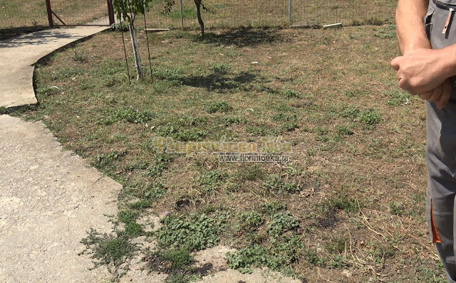 Αρκούδα με 3 μικρά αρκουδάκια προκάλεσε ζημιές σε αυλή λίγο έξω από την Φλώρινα ...VIDEO