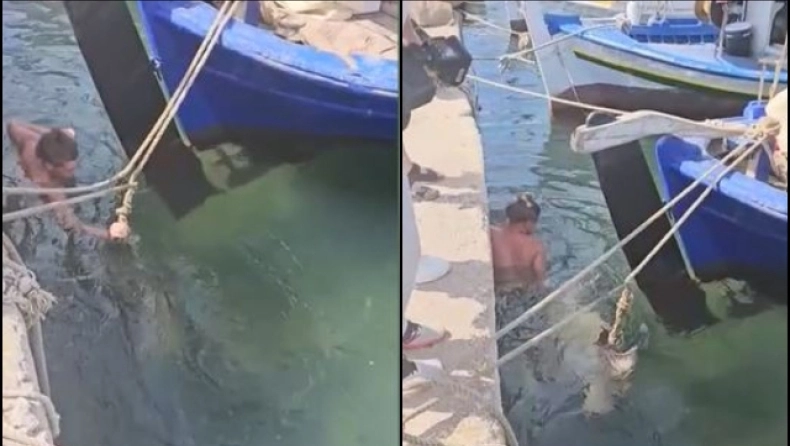 Χελώνα στην Ανάβυσσο δάγκωσε πορνοστάρ στα οπίσθια που πήγε να την σώσει...VIDEO