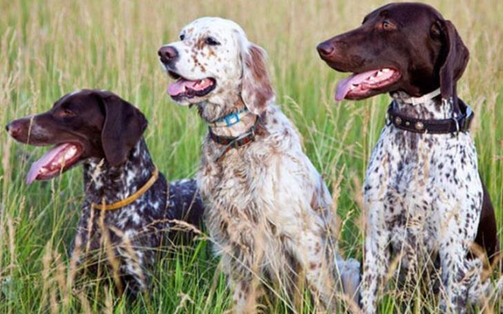 Ψηφίστηκε η νέα τροπολογία για το νόμο Άργος. Δείτε τι αλλαγές έγιναν
