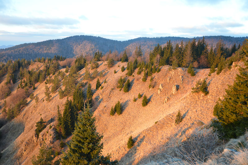 μεγαλύτερες νίκες για το περιβάλλον στον πλανήτη μας