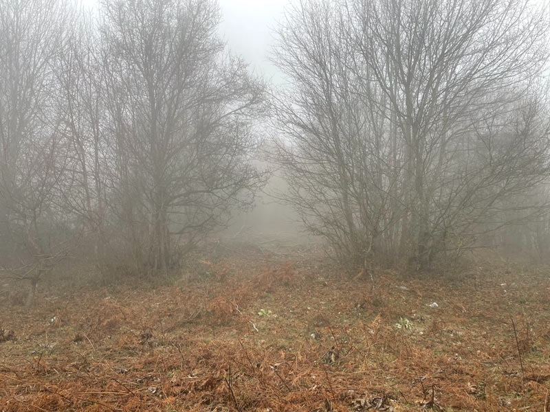 Καιρός 1/12/2024 : Βροχές, καταιγίδες σε όλη τη χώρα. Που θα χιονίσει