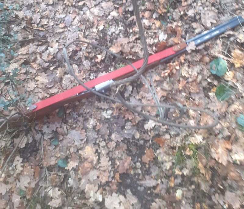 Αγγλικό σέττερ πιάστηκε σε συρμάτινη θηλιά σε κυνήγι μπεκάτσας....VIDEO