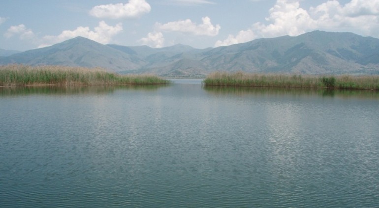 γρίπη των πτηνών