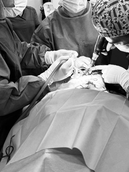 Πώς γίνεται η ολική αρθροπλαστική ισχίου στον σκύλο – Τα οφέλη της