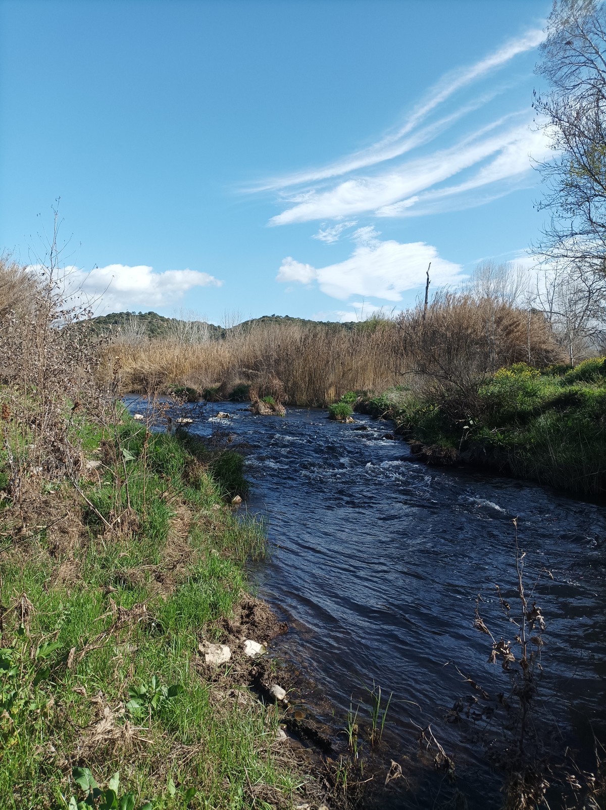 Καταρρέει το οικοσύστημα του ποταμού Ευρώτα!