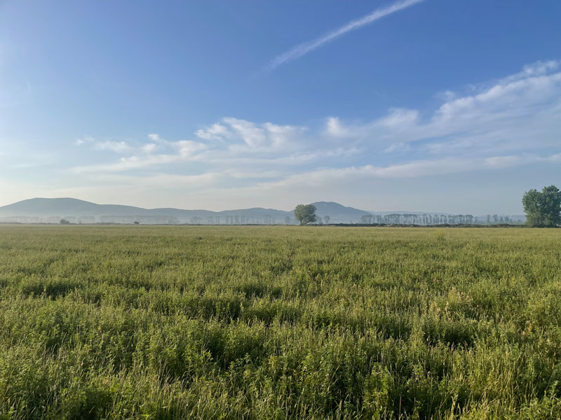 Καιρός 3/5/2025 : Αίθριος ο καιρός σε όλη σχεδόν τη χώρα εκτός από Δωδεκάνησα και ΚρήτηΟι άνεμοι θα πνέουν από βόρειες διευθύνσεις, στα δυτικά 3 με 5 μποφόρ, στα ανατολικά 4 με 6 και στο κεντρικό και νότιο Αιγαίο τοπικά 7 μποφόρ με βαθμιαία εξασθένηση από το απόγευμα. Η θερμοκρασία θα σημειώσει μικρή άνοδο, κυρίως στα ανατολικά και τα νότια. Στα νησιά του Αιγαίου και την Κρήτη θα φτάσει τους 20 με 22 και τοπικά στα νότια τους 23 βαθμούς, στην υπόλοιπη χώρα τους 24 με 26 και τοπικά τους 27 με 28 βαθμούς Κελσίου. ΜΑΚΕΔΟΝΙΑ, ΘΡΑΚΗ Καιρός: Γενικά αίθριος. Τις μεσημβρινές - απογευματινές ώρες θα αναπτυχθούν πρόσκαιρες νεφώσεις κυρίως στα ορεινά, όπου πιθανώς να εκδηλωθούν τοπικοί όμβροι. Ανεμοι: Μεταβλητοί 3 με 4 μποφόρ. Θερμοκρασία: Από 09 έως 24 με 25 βαθμούς Κελσίου. ΝΗΣΙΑ ΙΟΝΙΟΥ, ΗΠΕΙΡΟΣ, ΔΥΤΙΚΗ ΣΤΕΡΕΑ, ΔΥΤΙΚΗ ΠΕΛΟΠΟΝΝΗΣΟΣ Καιρός: Γενικά αίθριος. Τις μεσημβρινές και απογευματινές ώρες θα αναπτυχθούν πρόσκαιρες τοπικές νεφώσεις κυρίως στα ορεινά, όπου πιθανώς να εκδηλωθούν σποραδικοί όμβροι. Ανεμοι: Από βόρειες διευθύνσεις 3 με 4 και το απόγευμα στο Ιόνιο βορειοδυτικοί έως 5 μποφόρ. Θερμοκρασία: Από 11 έως 27 με 28 βαθμούς Κελσίου. ΑΝΑΤΟΛΙΚΗ ΣΤΕΡΕΑ, ΕΥΒΟΙΑ, ΑΝΑΤΟΛΙΚΗ ΠΕΛΟΠΟΝΝΗΣΟΣ Καιρός: Γενικά αίθριος. Τις μεσημβρινές - απογευματινές ώρες θα αναπτυχθούν πρόσκαιρες νεφώσεις, κυρίως στα ορεινά της κεντρικής Στερεάς και της ανατολικής Πελοποννήσου, όπου πιθανώς να εκδηλωθούν τοπικοί όμβροι. Ανεμοι: Βόρειοι βορειοανατολικοί 4 με 5 και στα ανατολικά τοπικά 6 με 7 μποφόρ με βαθμιαία εξασθένηση από το απόγευμα. Θερμοκρασία: Από 12 έως 26 με 27 βαθμούς Κελσίου. ΚΥΚΛΑΔΕΣ, ΚΡΗΤΗ Καιρός: Στις Κυκλάδες γενικά αίθριος. Στην Κρήτη νεφώσεις παροδικά αυξημένες με λίγες τοπικές βροχές κυρίως στα ανατολικά. Βελτίωση από αργά το απόγευμα. Ανεμοι: Βόρειοι 5 με 6 και τοπικά 7 μποφόρ με βαθμιαία εξασθένηση από το απόγευμα. Θερμοκρασία: Από 15 έως 20 με 21 και τοπικά στη νότια Κρήτη 23 βαθμούς Κελσίου. ΝΗΣΙΑ ΑΝΑΤΟΛΙΚΟΥ ΑΙΓΑΙΟΥ - ΔΩΔΕΚΑΝΗΣΑ Καιρός: Στα νησιά του ανατολικού Αιγαίου και τα βόρεια τμήματα των Δωδεκανήσων γενικά αίθριος. Στα νότια τμήματα των Δωδεκανήσων νεφώσεις παροδικά αυξημένες με λίγες τοπικές βροχές και στην περιοχή Ρόδου - Καστελλόριζου πιθανώς μεμονωμένες καταιγίδες. Βελτίωση από αργά το απόγευμα. Ανεμοι: Από βόρειες διευθύνσεις 5 με 6 μποφόρ. Βαθμιαία εξασθένηση από αργά το απόγευμα. Θερμοκρασία: Από 13 έως 22 με 23 βαθμούς Κελσίου. ΘΕΣΣΑΛΙΑ Καιρός: Γενικά αίθριος. Τις μεσημβρινές - απογευματινές ώρες θα αναπτυχθούν πρόσκαιρες νεφώσεις στα ηπειρωτικά, κυρίως ορεινά, όπου πιθανώς να σημειωθούν τοπικοί όμβροι. Ανεμοι: Ανατολικοί βορειοανατολικοί 3 με 4 μποφόρ, βαθμιαία νοτιοανατολικοί με την ίδια ένταση. Θερμοκρασία: Από 10 έως 26 με 27 βαθμούς Κελσίου. ΑΤΤΙΚΗ Καιρός: Γενικά αίθριος. Ανεμοι: Βόρειοι 4 με 5 και στα ανατολικά έως 6 μποφόρ με βαθμιαία εξασθένηση από το απόγευμα. Θερμοκρασία: Από 14 έως 26 με 27 βαθμούς Κελσίου. ΘΕΣΣΑΛΟΝΙΚΗ Καιρός: Γενικά αίθριος. Τις μεσημβρινές - απογευματινές ώρες θα αναπτυχθούν πρόσκαιρες νεφώσεις, κυρίως στα γύρω ορεινά, όπου πιθανώς να σημειωθούν τοπικοί όμβροι. Ανεμοι: Νοτιοανατολικοί 3 με 4 μποφόρ.