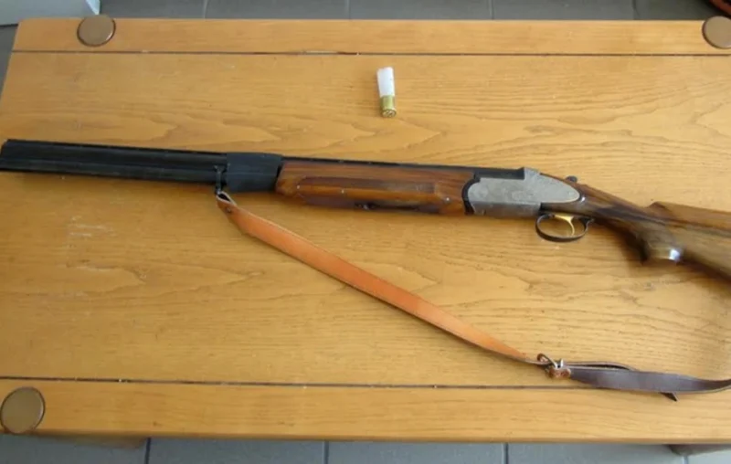 Άνδρας σκότωσε σκύλο με λειόκαννο όπλο στη Ξάνθη