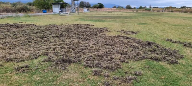 Αγριογούρουνα… διέλυσαν το γήπεδο στα Καμένα Βούρλα
