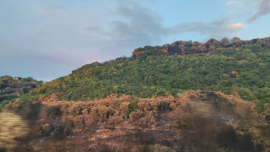Απαγόρευση θήρας στην Άρτα για τρία χρόνια μετά την πυρκαγιά