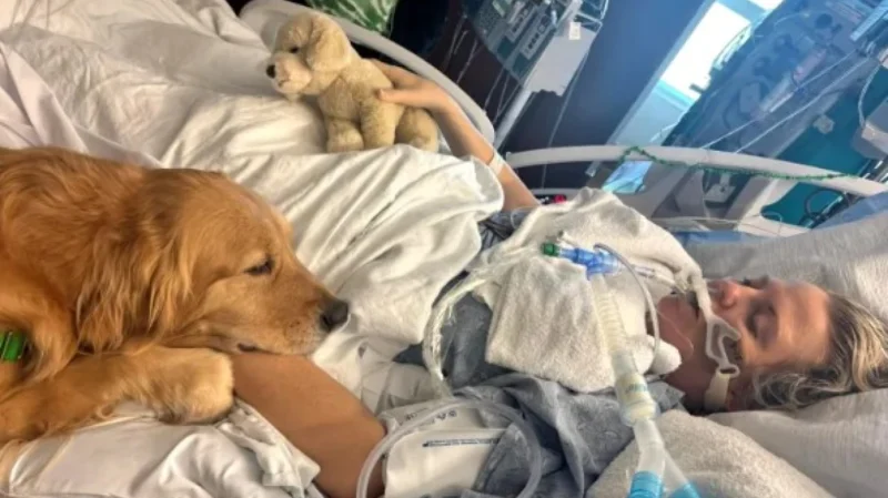 Σκύλος θεραπείας ξύπνησε γυναίκα από ιατρικό κώμα στη Φλόριντα – «Θαύμα» λέει η ίδια