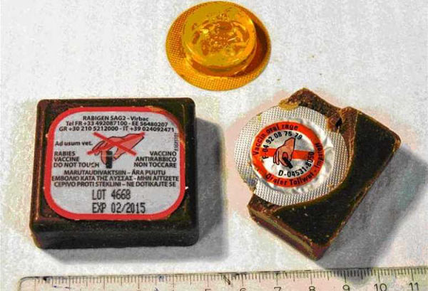 Ξεκινούν οι εναέριες ρίψεις εμβολίων κατά της λύσσας – Τι πρέπει να προσέχουν οι πολίτες