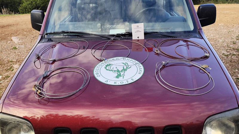 Ευρυτανία : Σύλληψη για παράνομη θήρα με χρήση παγίδων από τη Θηροφυλακή της Δ' ΚΟΣΕ