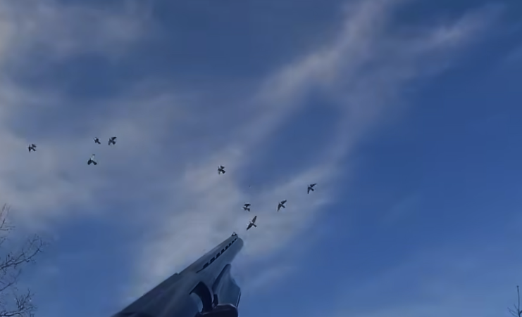 Τουφεκιές σε φετινά κυνήγια φάσσας στη Μακεδονία...VIDEO